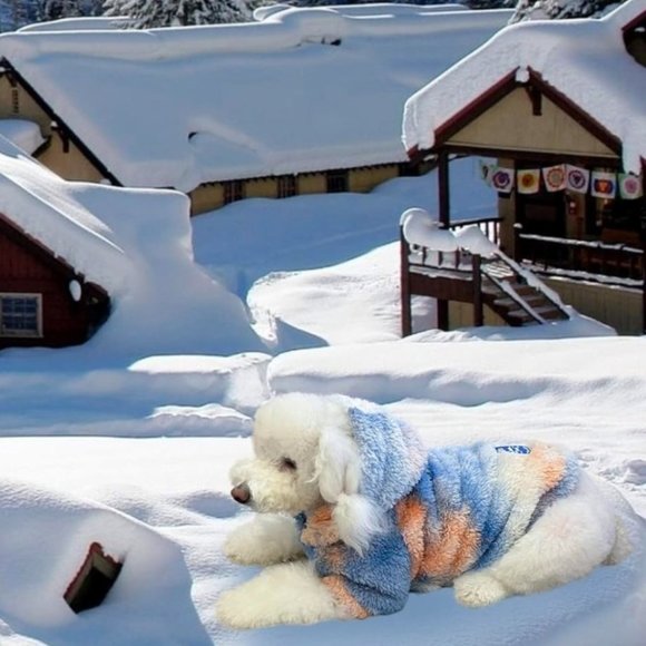 Dog Sweaters/Sweatshirts- Tie Dye- Premium Dog/Puppy Jacket Coat- SM -MED- LRG - Picture 4 of 13